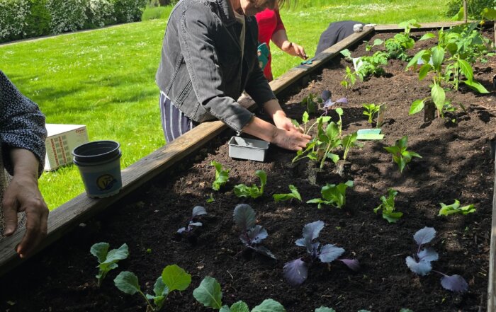 Gartenarbeit VITA domus Karow